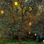 Hotel Bosphorus Symbola 3*