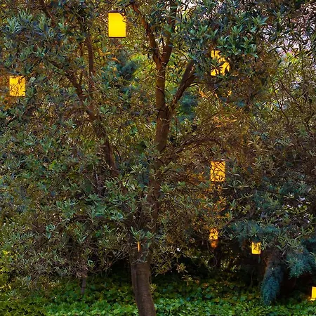 Hotel Bosphorus Symbola 3*