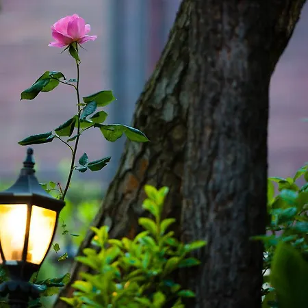 Bosphorus Symbola 3* Estambul